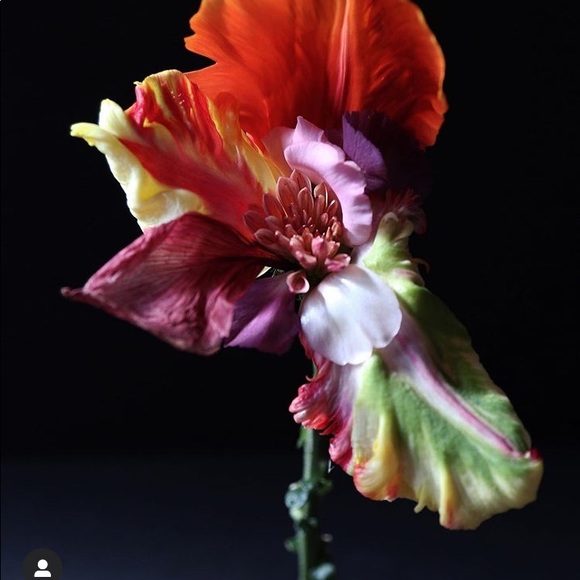 Meet your Posher, Kelly - Picture 1 of 1